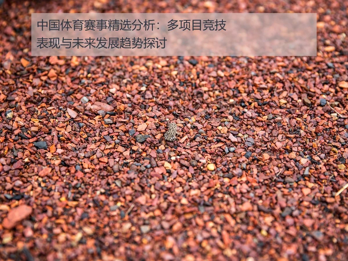 中国体育赛事精选分析:多项目竞技表现与未来发展趋势探讨